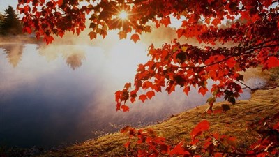H&ouml;stm&ouml;te